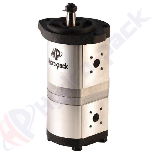 22C22X172/11X173 Group 20+20 Tandem Pump